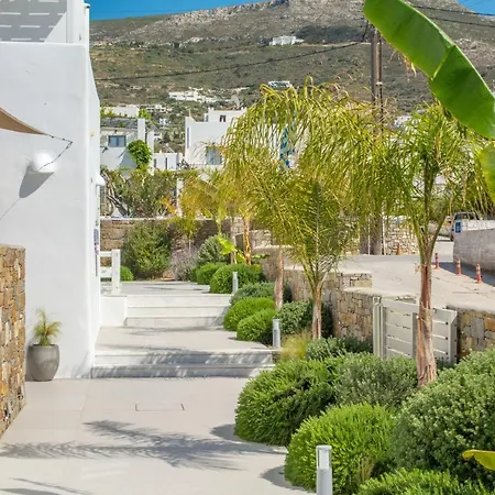 White Blossom * Parikia (Paros)