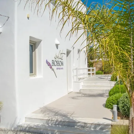 White Blossom Szálloda