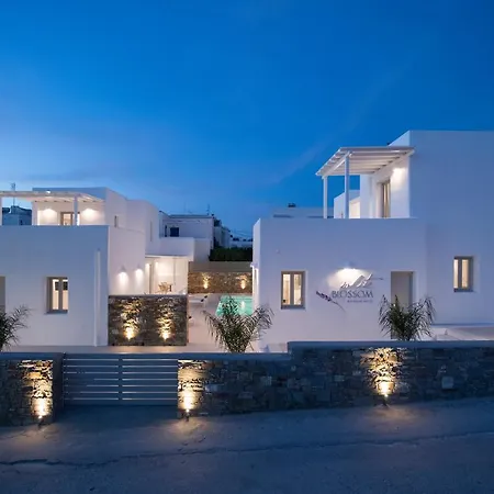 White Blossom Hotel *