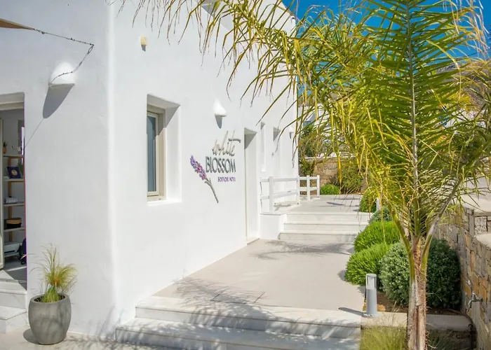 White Blossom Szálloda